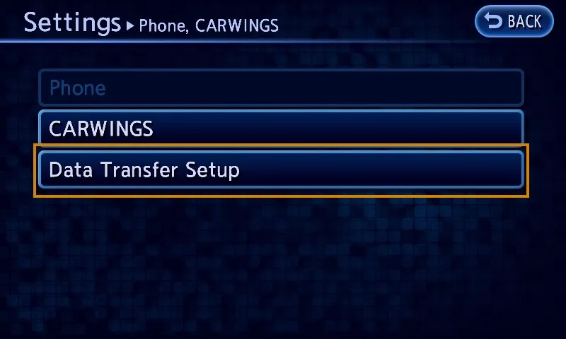 The Phone, CARWINGS menu